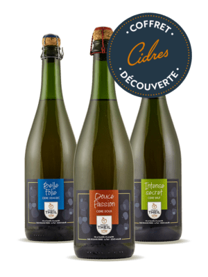 CIDRE BRUT - INTENSE SECRET - 12X33 cl